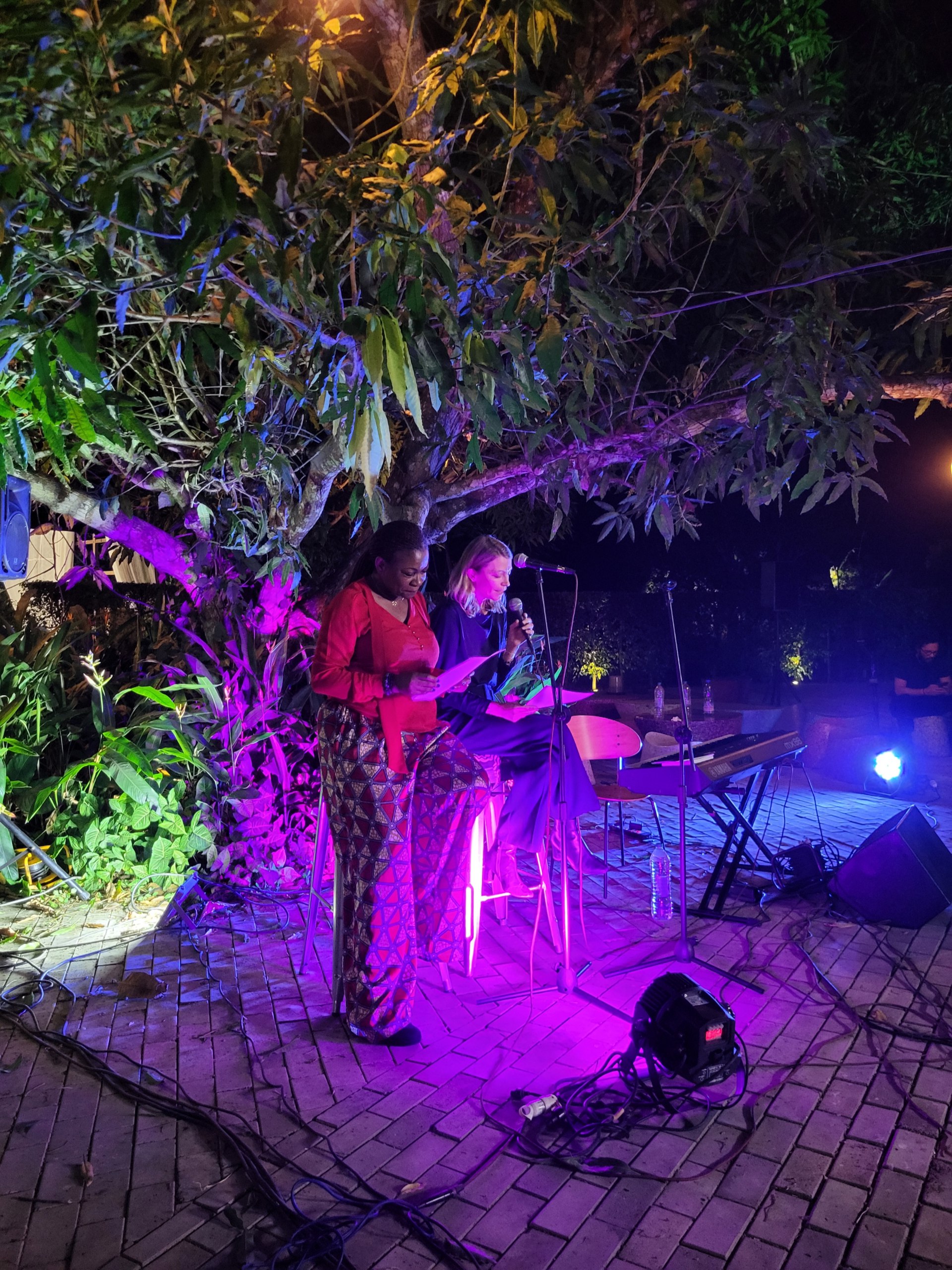 Soirée poétique - Suza's Manifest